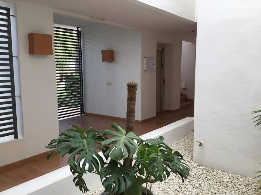Alcazaba Blue Lagoon 3 Bedroom, Ground Floor Apartment Estepona Exterior photo